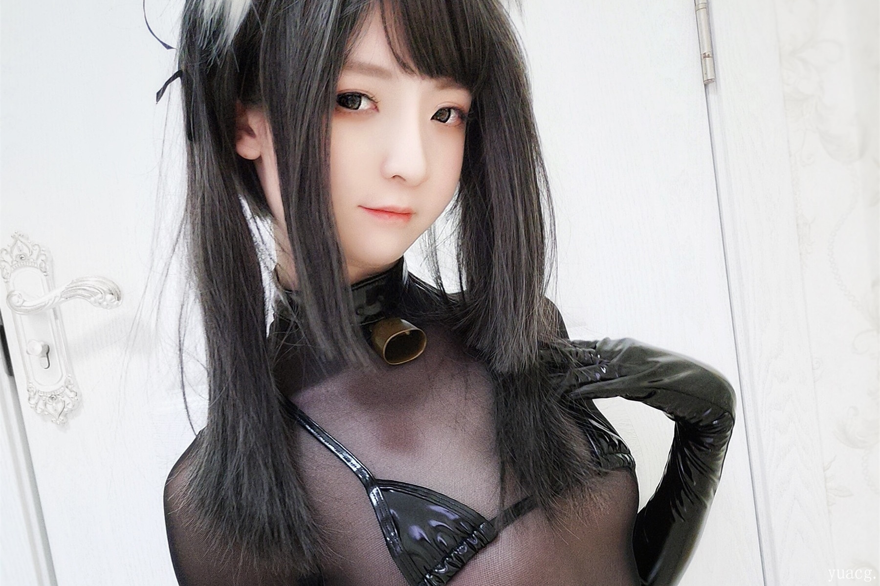 [一小央泽]黑猫巧克力派